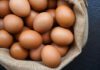 Largest US Producer Of Eggs Sees Profits Soar 718%