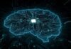Intelligence Agency Funds Research Merging AI With Human Brain