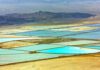 The US is looking into the Nevada lithium mine because of worries about an endangered wildflower
