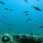 A famous US submarine from World War II has been found underwater near the Philippines