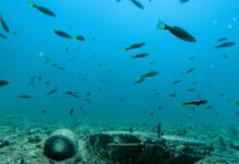 A famous US submarine from World War II has been found underwater near the Philippines